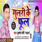 Krishna Premi Pardhan