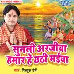Sunli Arajiya Hamar Hey Chhathi Maiya Album Download