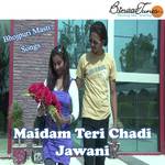 Aarif Bhati Songs MP3 Download
