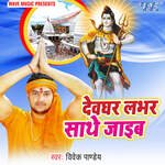 Devghar Labhar Sathe Jaib Album Download