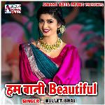 Ham Bani Beautiful Album Download
