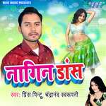 Nagin Dance Album Download