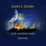 Sher Miandad Khan Fareedi Qawwal Songs MP3 Download