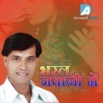 Bharal Jawani Me - Brijesh Pathak Raina Song Download
