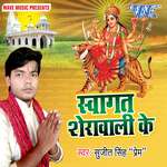 Swagat Sherawali Ke Album Download