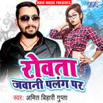 Rowata Jawani Palang Par Album Download
