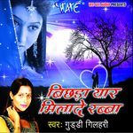 Bichra Yaar Milade Rabba Album Download