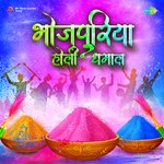 Bhojpuriya Holi Dhamal Album Download