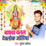 Baghwa Chalal Devlok Oriya - Mukesh Chhabila Song Download