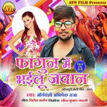 Fagun Me Bhailu Jawan Album Download