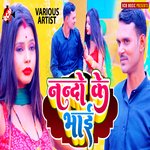 Nando Ke Bhai - Dinesh Singh Song Download