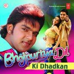 Bhojpuriya Dil Ke Dhadkan – Pawan Singh