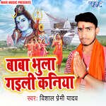 Baba Bhula Gaili Kaniya Album Download