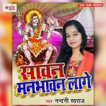 Sawan Manbhawan Lage Album Download