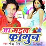 Aa Gail Phagun - Vijay Kumar Song Download