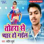 Tohara Se Piyar Ho Gail Album Download
