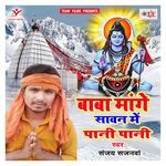 Baba Mange Sawan Me Pani Pani Album Download