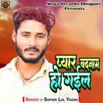 Pyaar Badnam Hogail Album Download