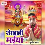 Sherawali Maiya Album Download