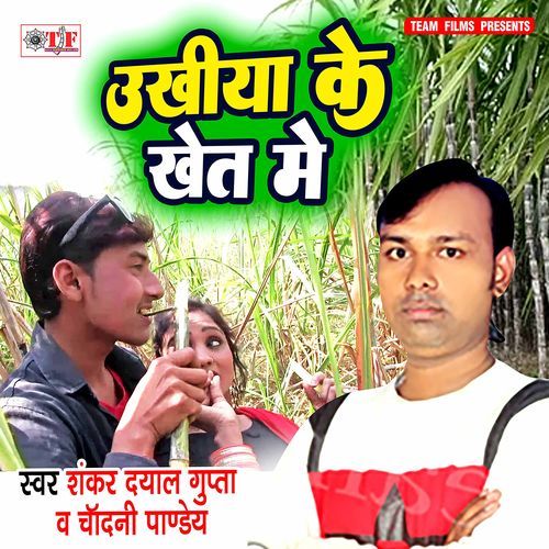 Ukhiya Ke Khet Me Shankar Dayal Gupta MP3 Download
