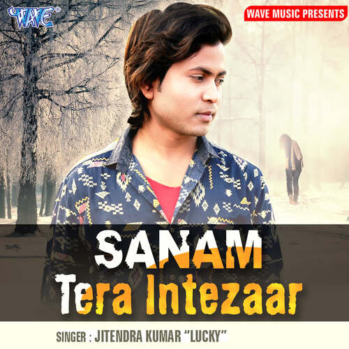 Sanam Tera Intzaar Jitendra Kumar Lucky MP3 Download