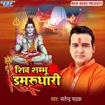 Shiv Shambhu Damrudhari Album Download