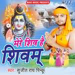 Mere Shiv Hai Shivam - Rakesh Rai Song Download
