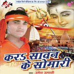 Kar Sawan Ke Somari - Raju Raja Song Download