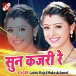 Sun Kajri Re Album Download