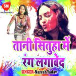 Tani Situha Me Rang Lagawe Da - Shweta Sargam Song Download