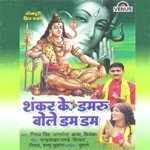 Shankar Ke Damru Bole Dam Dam Album Download