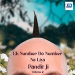 Ek Number Do Number Na Liya Pandit Ji, Vol. 2 - Rahul Biraj Song Download
