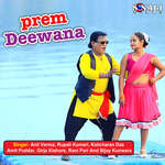 Prem Deewana Album Download