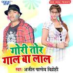 Gori Tor Gaal Ba Laal Album Download