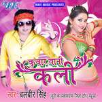 Kunwar Bani Kali - Balbeer Singh Song Download