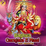 Baghwa Garajata E Maai Album Download