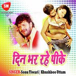 Dinbhar Rahe Pike Album Download
