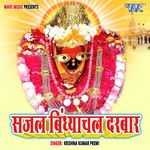 Sajal Vindhyachal Darbar Album Download