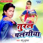 Tural Palangiya - Hemant Mishra Song Download