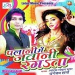 Palani Me Jawani Rangata - Dhananjay Sharma Song Download