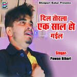 Dil Torla Ek Saal Ho Gail Album Download