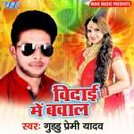 Vidai Me Bawal Album Download
