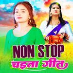 Nonstop Chaita Geet Album Download
