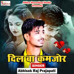 Dil Ba Kamjor Album Download