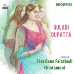 Gulabi Dupatta Album Download