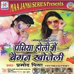 Paviya Holi Me Begen Khojeli - Anita Shivani Song Download