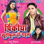 Pinkiya Beautiful Ho Gail Album Download