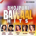 Bhojpuri Bawaal Hits Album Download