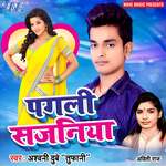 Pagali Sajaniya Album Download