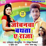 Jobanawa Bathata Ae Raja - Abhay Lal Yadav Song Download
